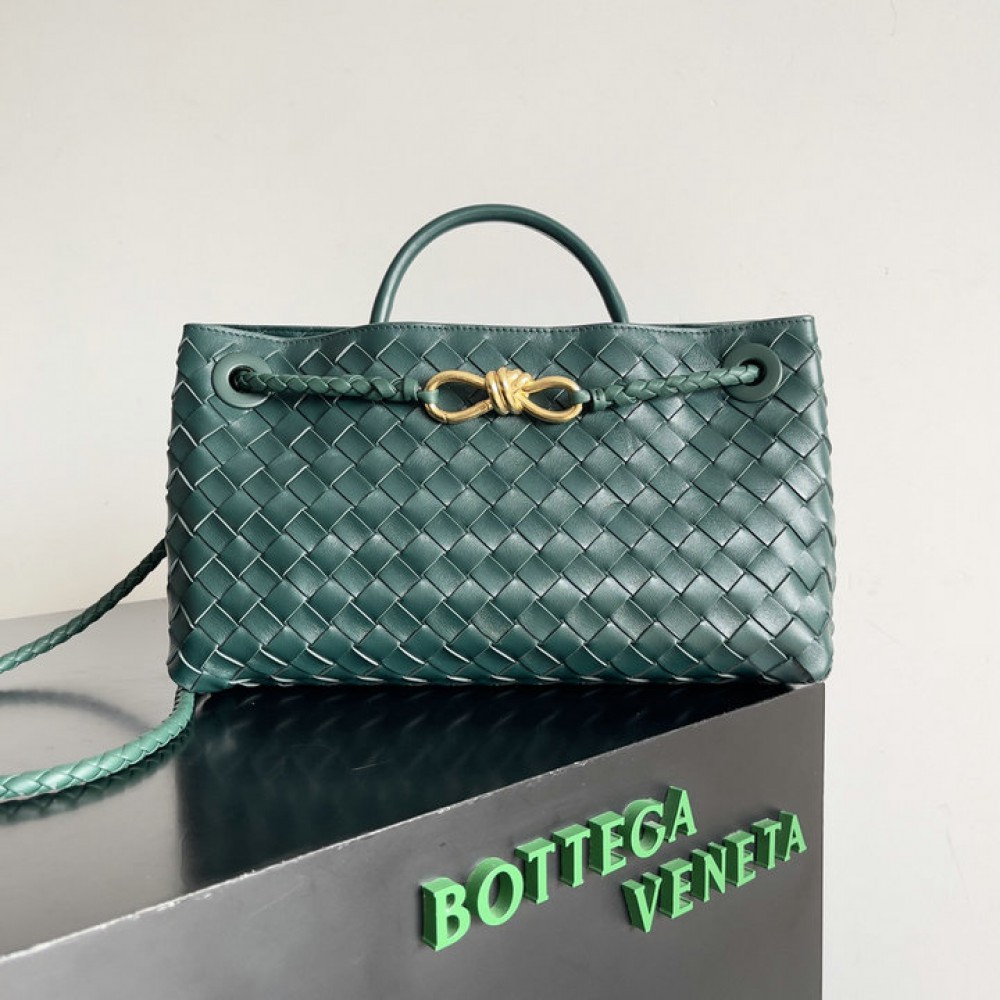 Bottega veneta andiamo Small East/West 29x18x10cm Bags