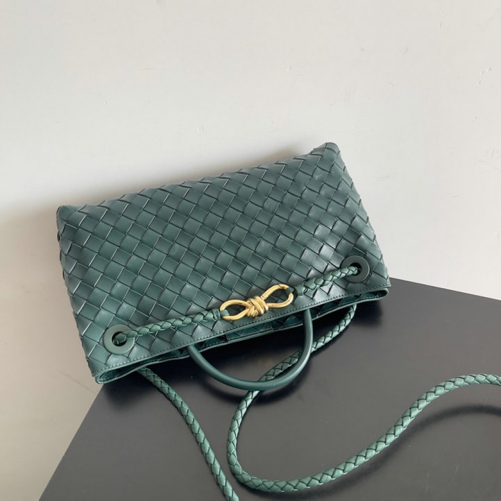 Bottega veneta andiamo Small East/West 29x18x10cm Bags