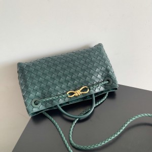 Bottega veneta andiamo Small East/West 29x18x10cm Bags