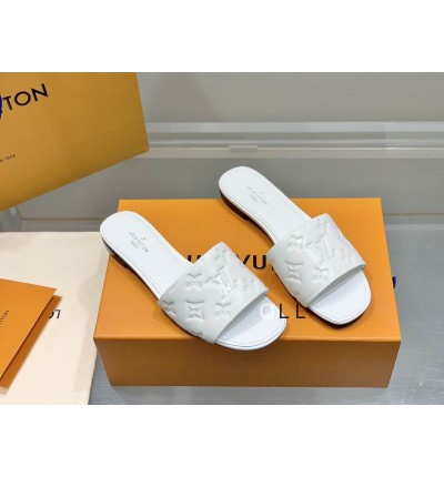 Lv slides 36-42 white