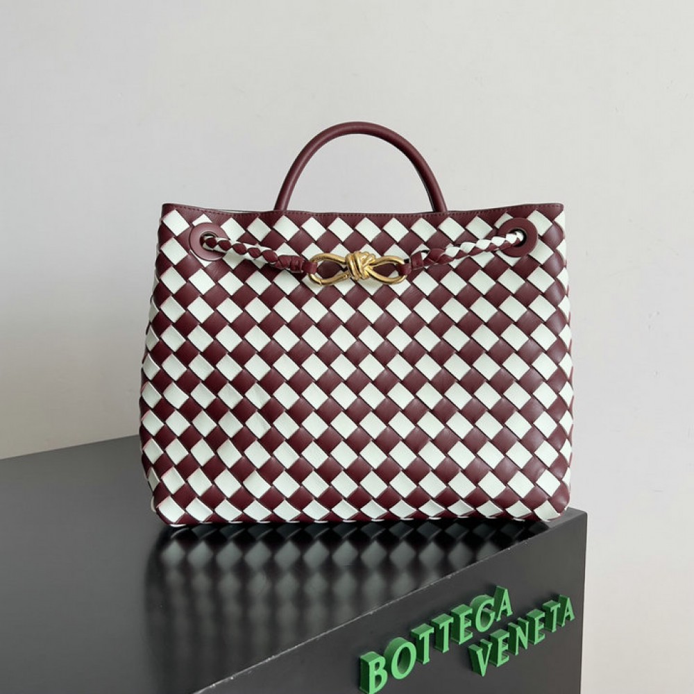 Bottega veneta andiamo small Andiamo 25x20cm Bags