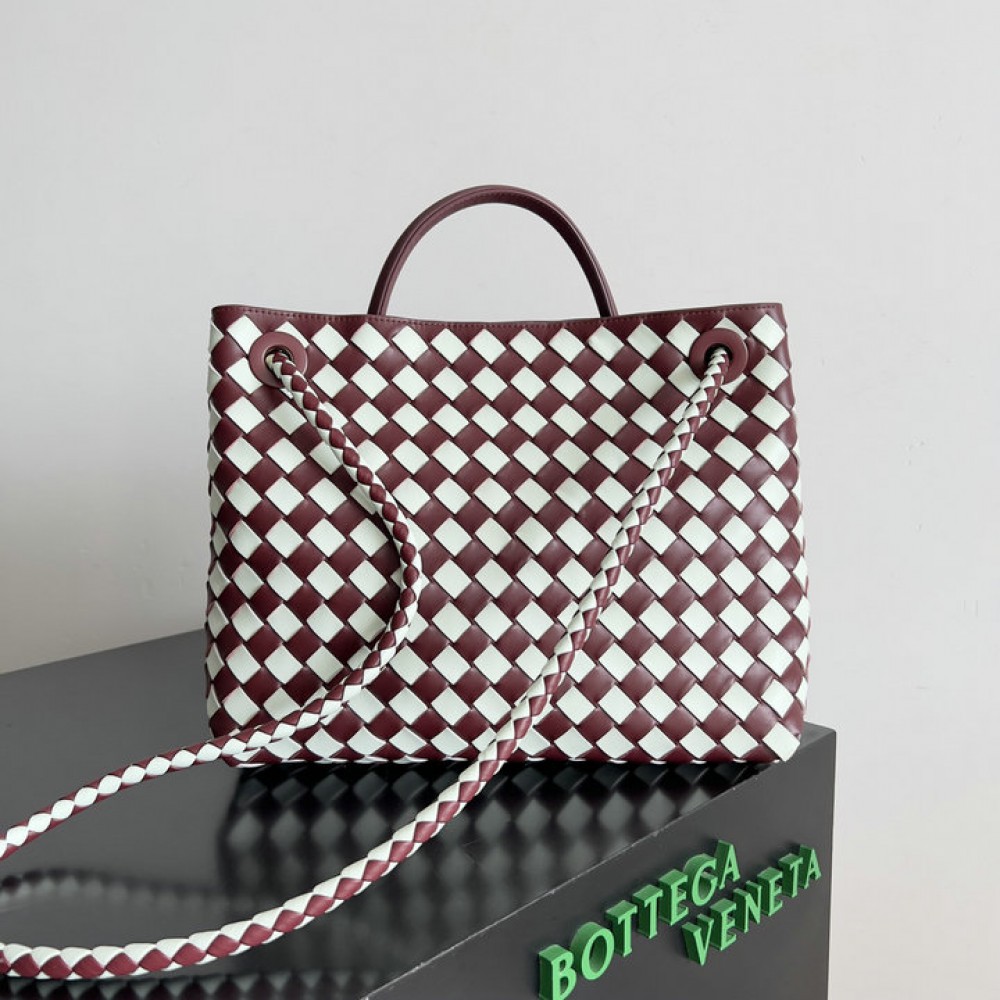 Bottega veneta andiamo small Andiamo 25x20cm Bags