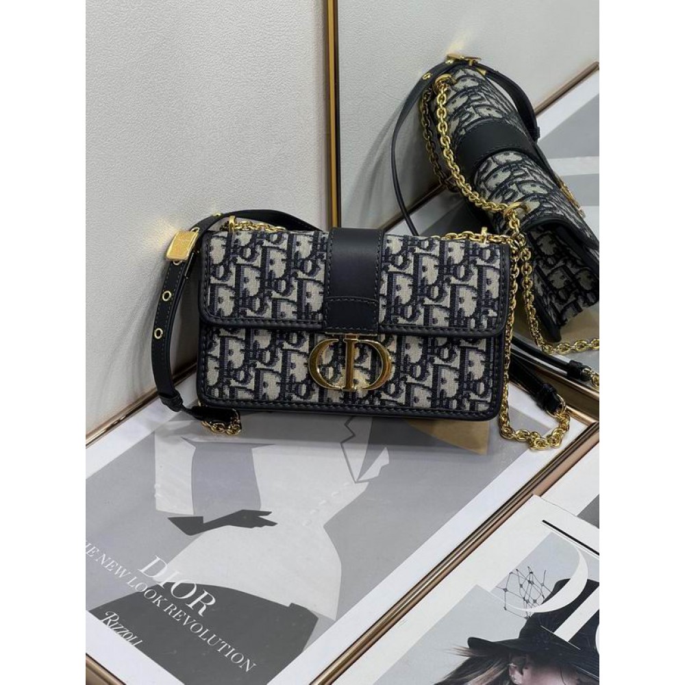 Dior montaigne 21.5cm Bags