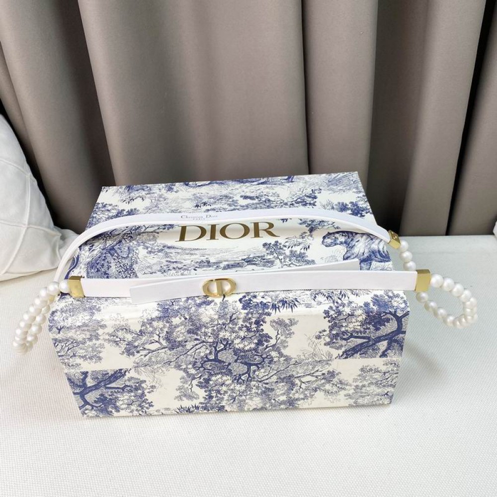 Dior belt 1.5cm 90-110 cm Accesories