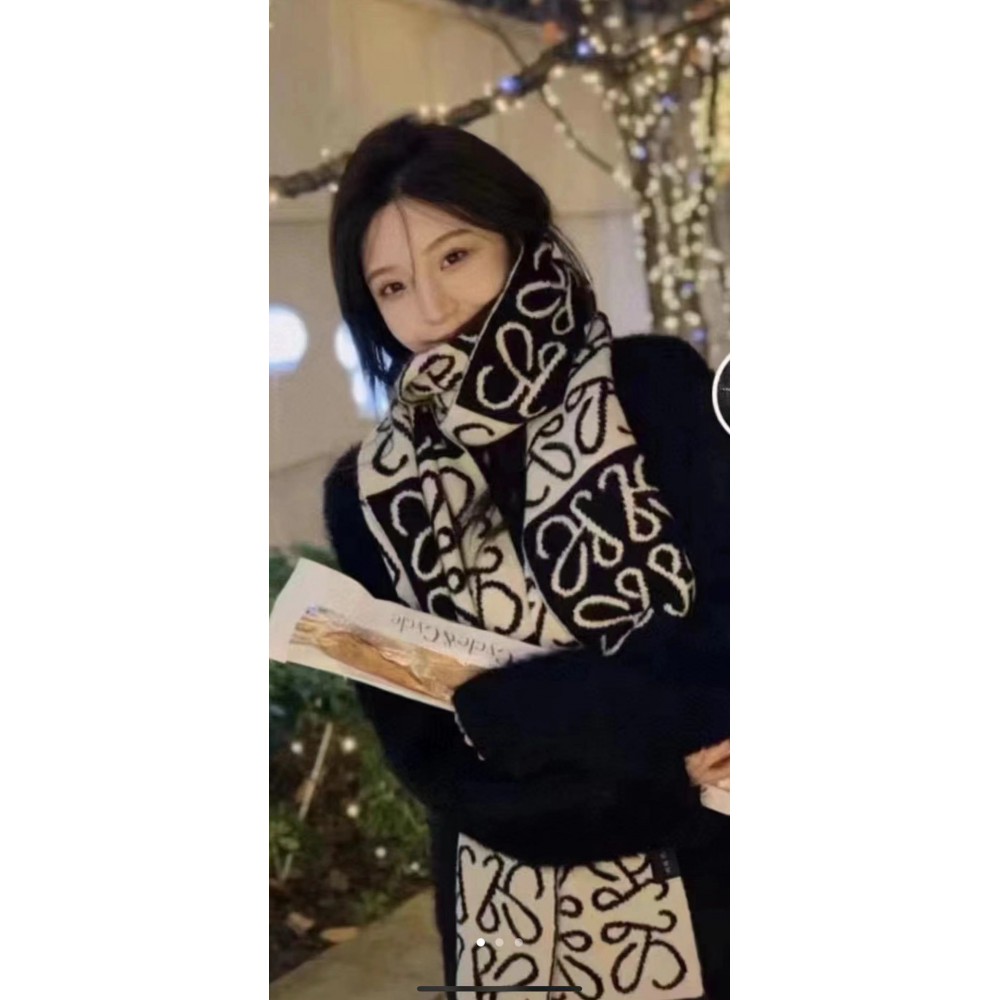 Loewe scarf 170x45cm cotton silk Accesories