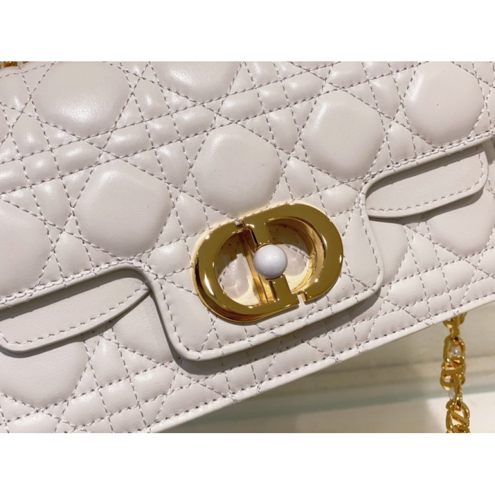 Dior jolie bag 22x8x14cm calfskin leather Bags