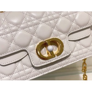 Dior jolie bag 22x8x14cm calfskin leather Bags