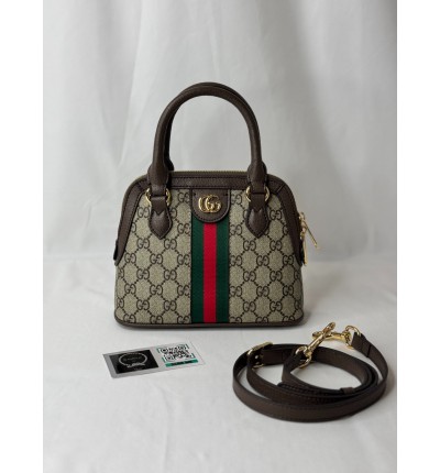 Gucci ophidia 20X20.5X7.5cm