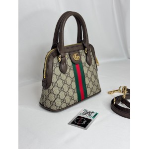 Gucci ophidia 20X20.5X7.5cm 