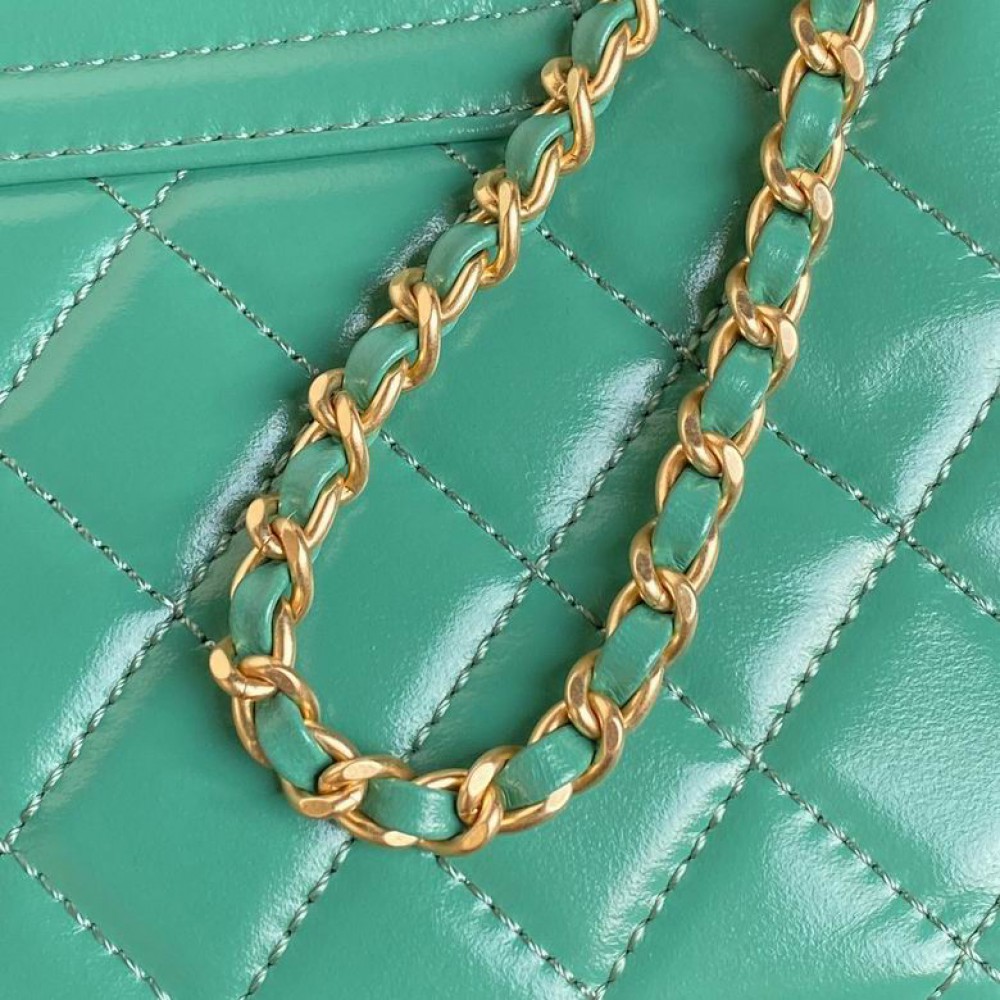 Chanel kelly 19x13x7cm Bags