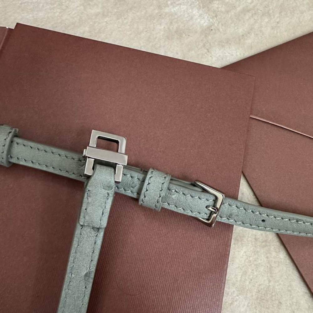 Loro Piana Extra Pocket L19 11 x 19 x 6,5 cm ostrich leather 