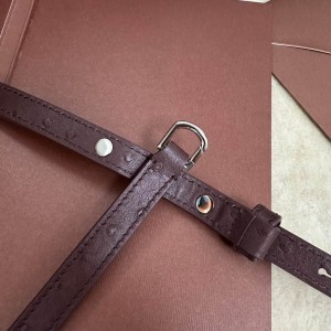 Loro Piana Extra Pocket L19 11 x 19 x 6,5 cm ostrich leather 