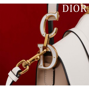 Dior Saddle Bag with Strap two tone 25.5 x 20 x 6.5 cm Bags
