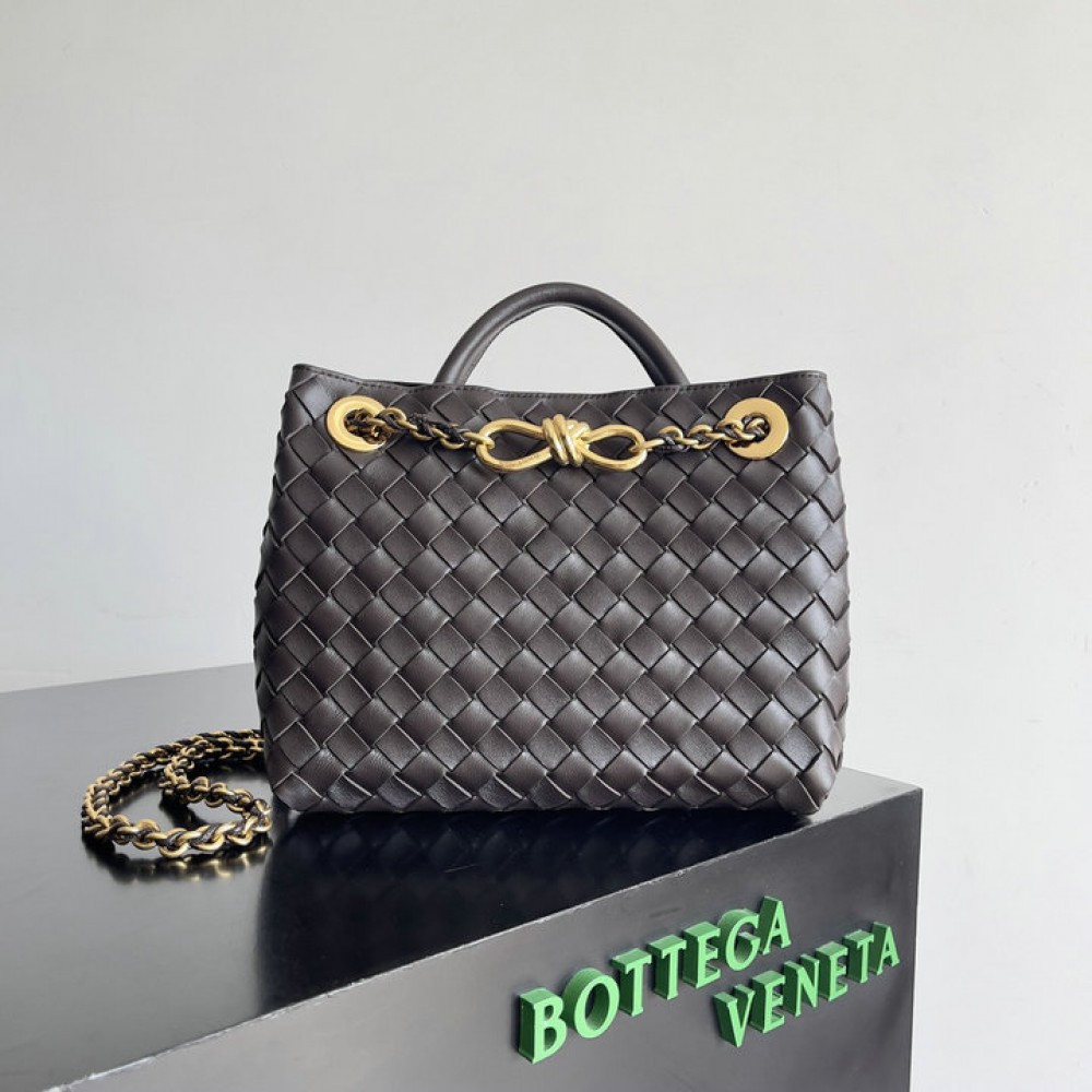Bottega veneta andiamo small Andiamo 25x20cm Bags