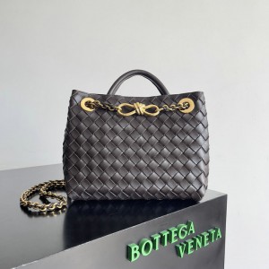 Bottega veneta andiamo small Andiamo 25x20cm Bags
