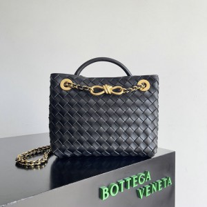 Bottega veneta andiamo small Andiamo 25x20cm Bags