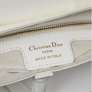 Dior saddle 26cm total white ultramatte edition Bags