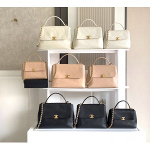 Chanel Flap Bag with top handle 2025 Bags