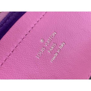 Lv Pochette Coussin M80742 20x14x8 cm Bags