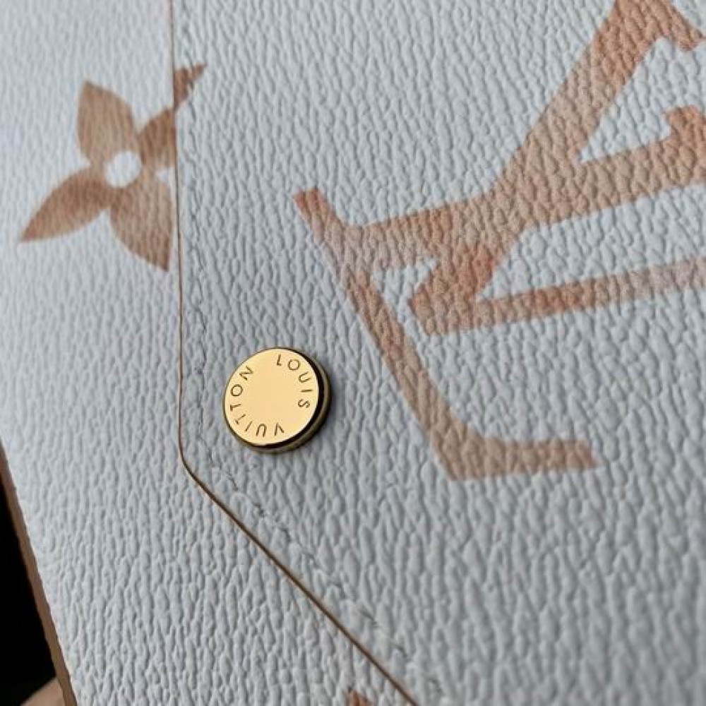 Lv Pochette Félicie emp leather M82520 21x12x3cm Bags