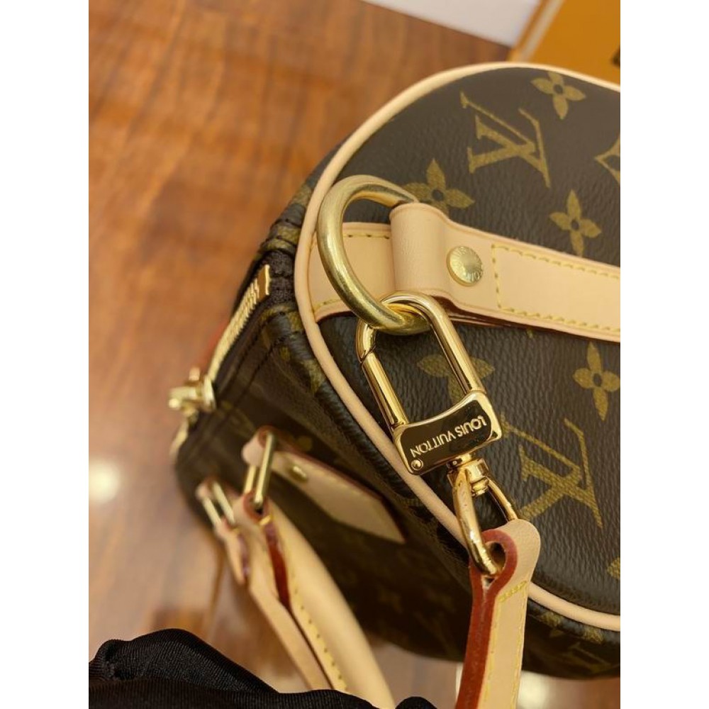 Lv Speedy Ban 25 M41113 25x15x15cm Bags