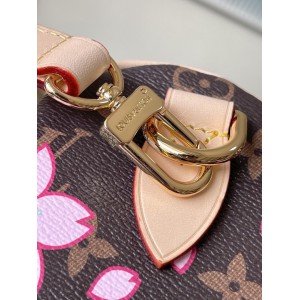 Lv Speedy Ban 25 M14174 25x15x15cm Bags