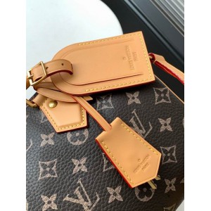 Lv Speedy P9 Bandoulière 25 M24443 25x15x15cm Bags