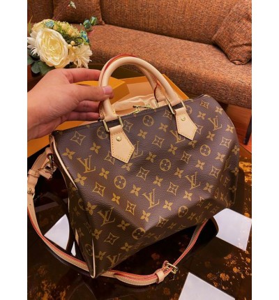 Lv Speedy Ban 30 M41112 30x21x17cm